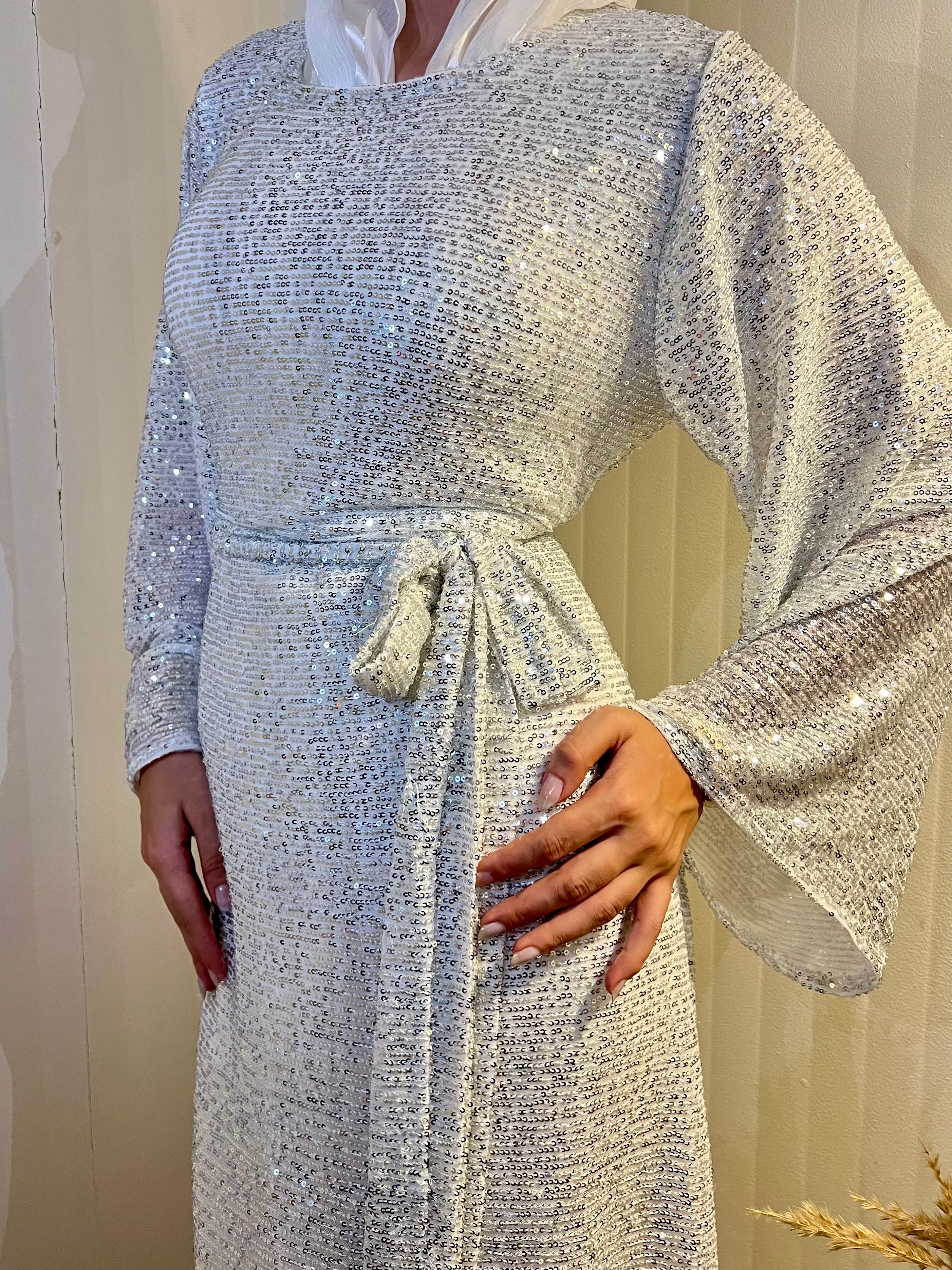 Shiny Dress